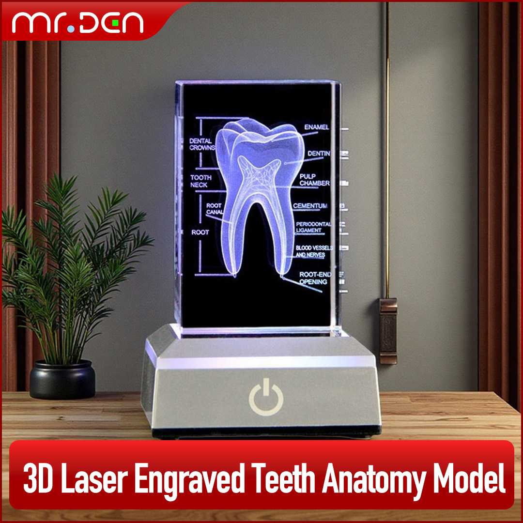 Tandheelkundige 3D Laser Gegra - Paper Weight Crystal recensie en prijs