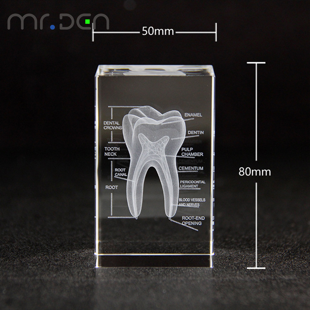Tandheelkundige 3D Laser Gegra - Paper Weight Crystal recensie en prijs